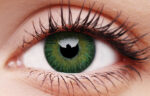 3 Tones Green Coloured Contacts