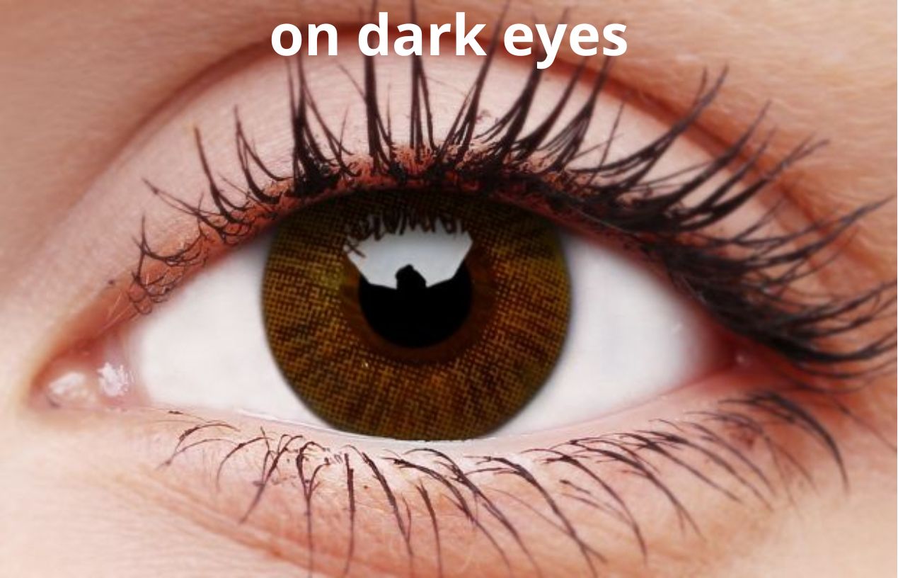 Basic Honey Coloured Contacts - Image 8