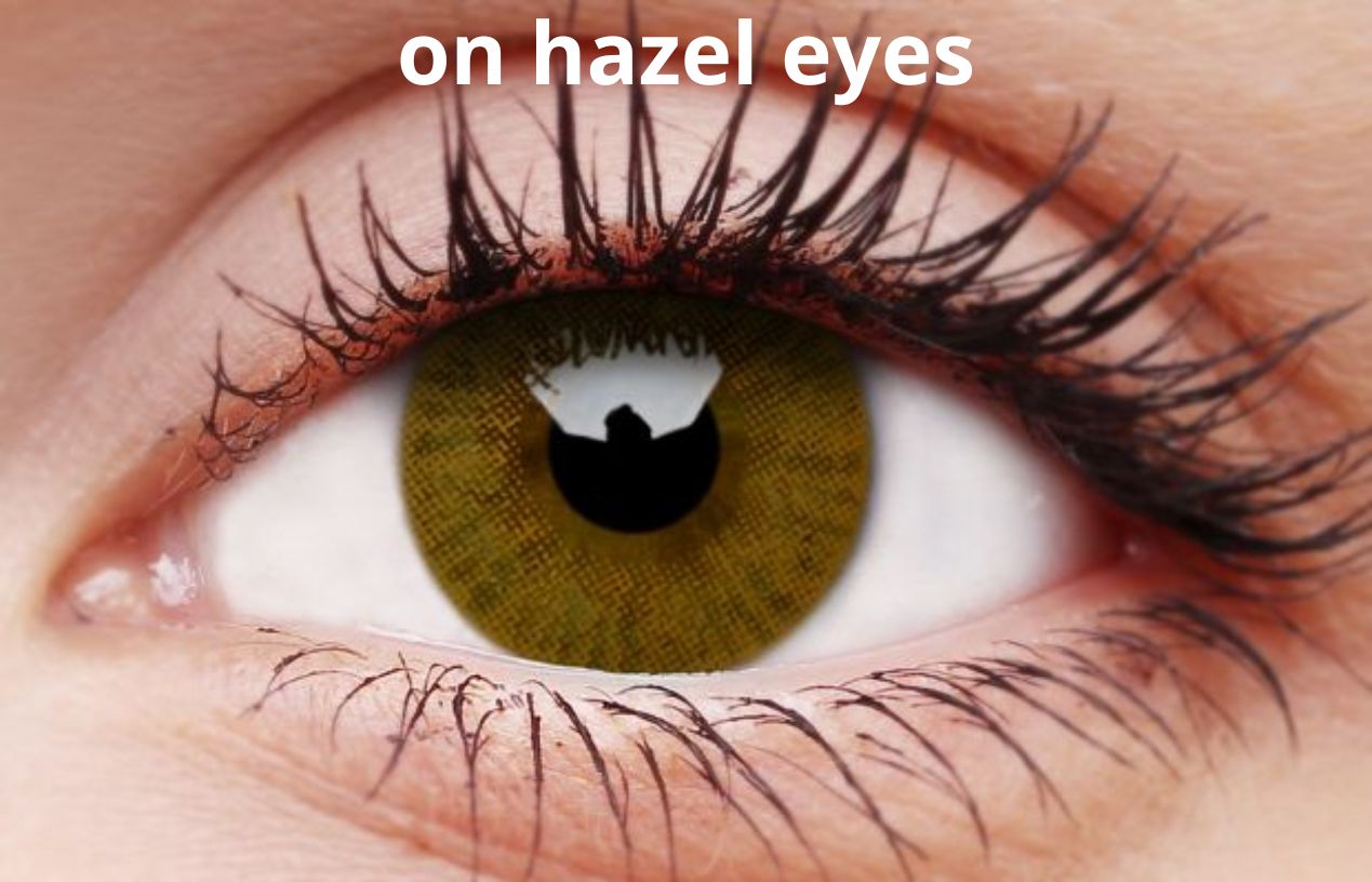 Basic Honey Coloured Contacts - Image 9