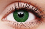 Basic Green Coloured Contacts
