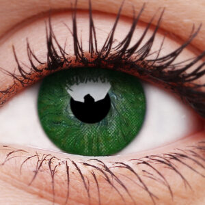 Basic Green Coloured Contacts