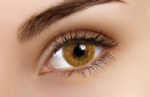 Basic Honey Coloured Contacts