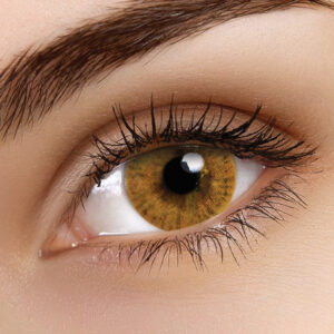 Basic Honey Coloured Contacts