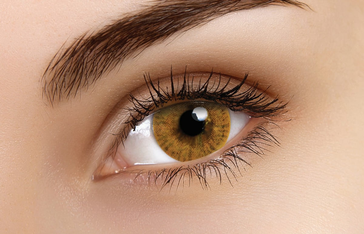 Basic Honey Coloured Contacts