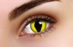 Cat's Eye Coloured Contacts