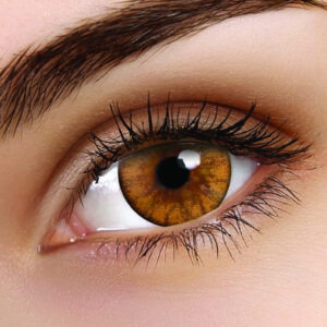 Woody Brown Coloured Contacts