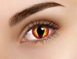 Dragon Eyes 1 Year Coloured Contacts