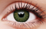 Glamour Green Coloured Contacts