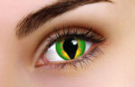 Green Dragon Coloured Contacts
