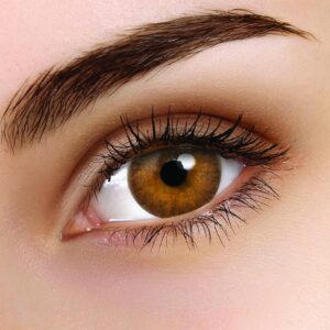 TruBlends Hazel Monthly Contact Lenses