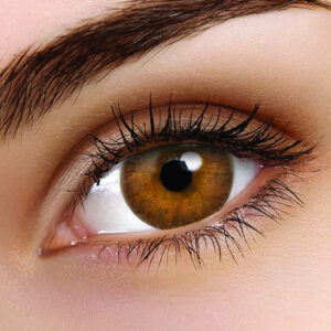 TruBlends Hazel Daily Contact Lenses