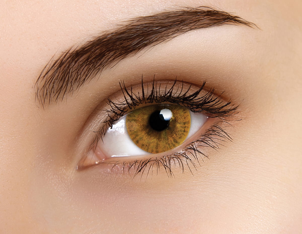 Basic Honey Coloured Contacts - Image 6