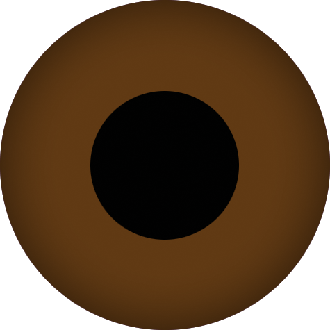 Prosthetic Brown with Black Pupil - Image 3