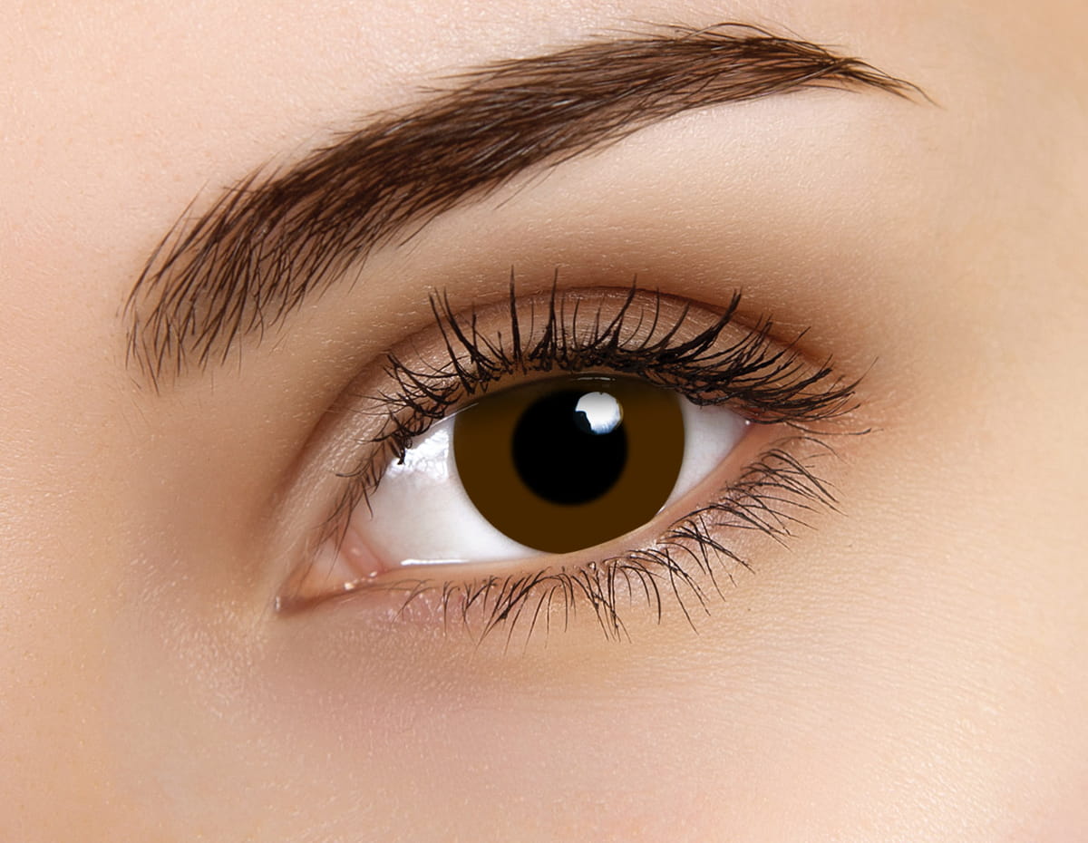Prosthetic Brown with Black Pupil - Image 2