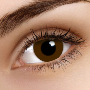 Prosthetic Brown with Black Pupil