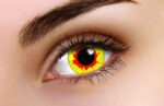 Reignfire 1-day Coloured Contacts