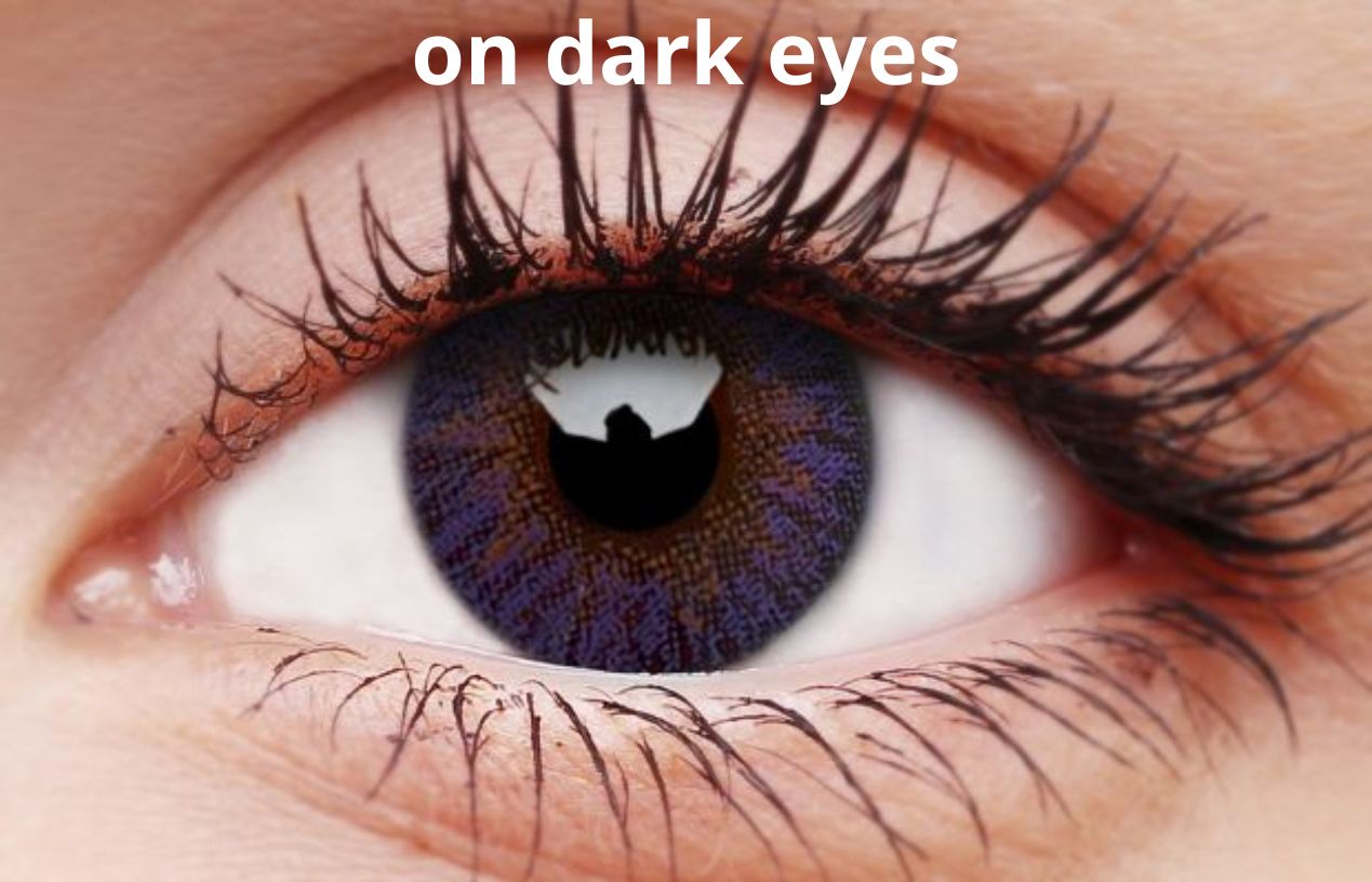 TruBlends Violet Daily Contact Lenses - Image 6