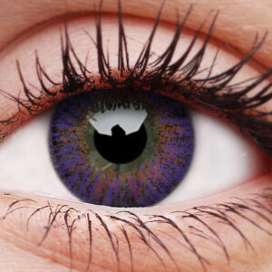 TruBlends Violet Daily Contact Lenses