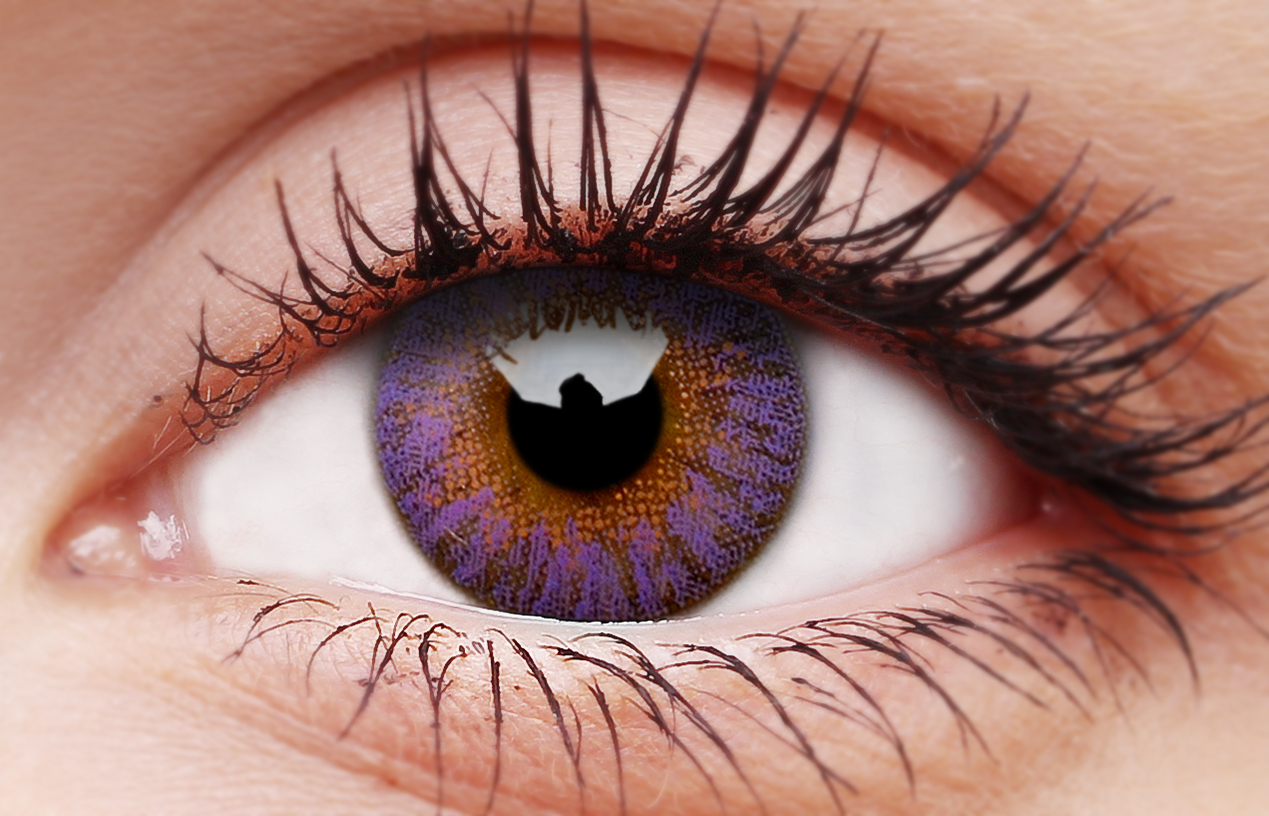TruBlends Violet Daily Contact Lenses - Image 3