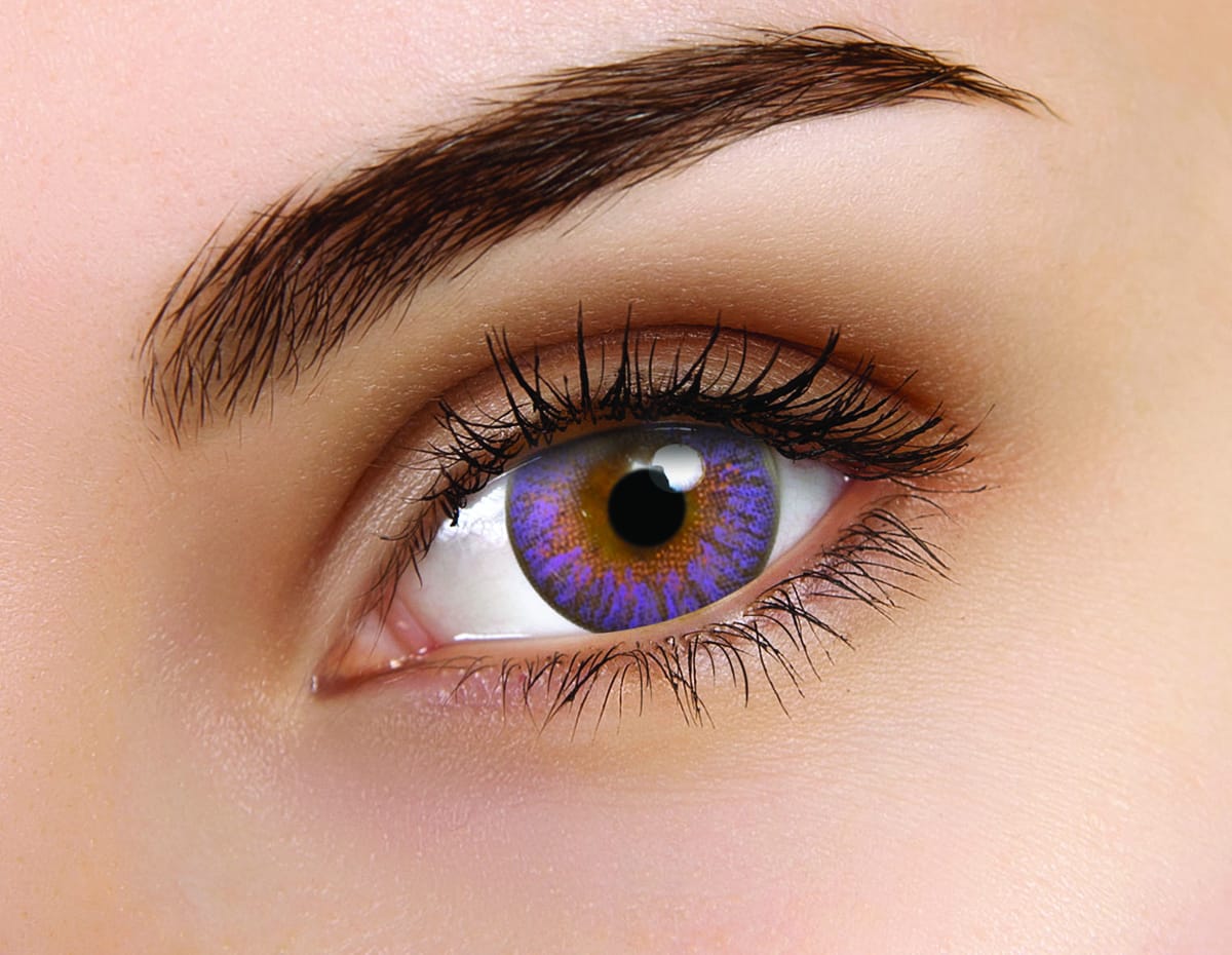 TruBlends Violet Daily Contact Lenses - Image 5