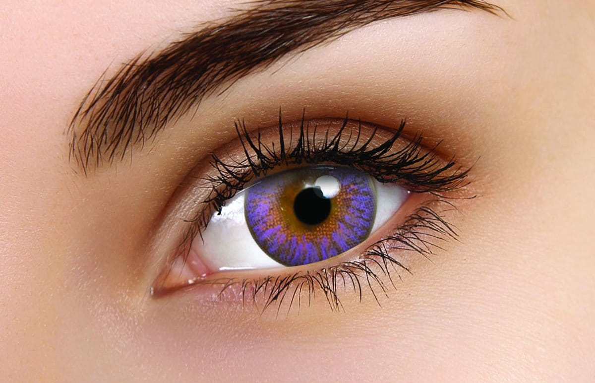 TruBlends Violet Daily Contact Lenses - Image 2