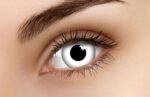 Winter Maiden Coloured Contacts
