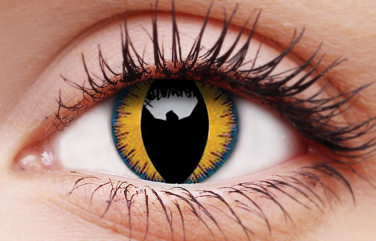 Wolf Moon Coloured Contacts - Image 2