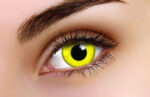 Yellow 1 Year Coloured Contacts